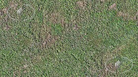 Textures   -   NATURE ELEMENTS   -   VEGETATION   -  Green grass - Grass clippings texture seamless 17677