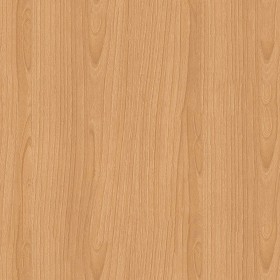 Textures   -   ARCHITECTURE   -   WOOD   -   Fine wood   -  Light wood - Light beech wood end seamless texture 16490
