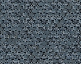Textures   -   ARCHITECTURE   -   ROOFINGS   -  Slate roofs - Dirty slate roofing texture seamless 04005