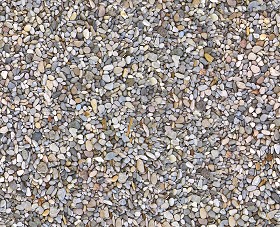 Textures   -   NATURE ELEMENTS   -   GRAVEL &amp; PEBBLES  - Driveway in stones texture seamless 17515 (seamless)