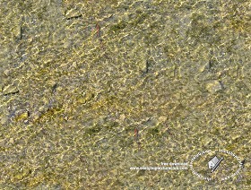 Textures   -   NATURE ELEMENTS   -  GRAVEL &amp; PEBBLES - Pebbles under water texture seamless 18208