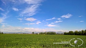 Textures   -   BACKGROUNDS &amp; LANDSCAPES   -   NATURE   -  Countrysides &amp; Hills - Countryside green landscape 18035