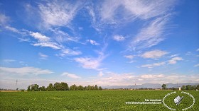 Textures   -   BACKGROUNDS &amp; LANDSCAPES   -   NATURE   -   Countrysides &amp; Hills  - Countryside green landscape texture 18036