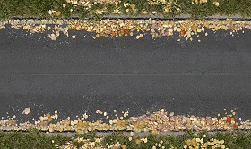 Textures   -   ARCHITECTURE   -   ROADS   -  Roads - Dirt road texture seamless 07638
