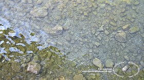 Textures   -   NATURE ELEMENTS   -   GRAVEL &amp; PEBBLES  - Pebbles under water texture 18213