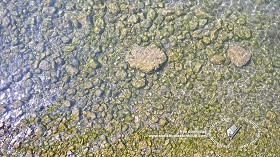 Textures   -   NATURE ELEMENTS   -   GRAVEL &amp; PEBBLES  - Pebbles under water texture 18215