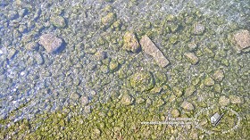 Textures   -   NATURE ELEMENTS   -  GRAVEL &amp; PEBBLES - Pebbles under water texture 18216