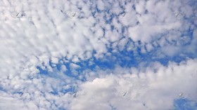 Textures   -   BACKGROUNDS &amp; LANDSCAPES   -   SKY &amp; CLOUDS  - Cirrus sky background 20633