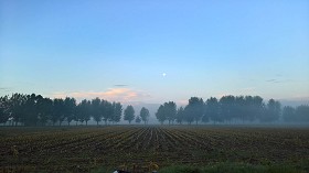 Textures   -   BACKGROUNDS &amp; LANDSCAPES   -   NATURE   -  Countrysides &amp; Hills - Foggy morning in the countryside landscape 18406