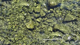 Textures   -   NATURE ELEMENTS   -  GRAVEL &amp; PEBBLES - Pebbles under water texture seamless 18343