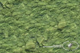 Textures   -   NATURE ELEMENTS   -  GRAVEL &amp; PEBBLES - Pebbles under water texture seamless 18344