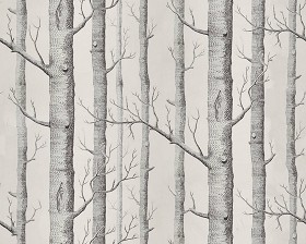 Textures   -   MATERIALS   -   WALLPAPER   -  various patterns - Trees background wallpaper texture seamless 12241