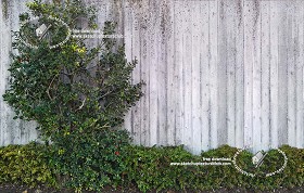 Textures   -   ARCHITECTURE   -   CONCRETE   -   Plates   -  Dirty - Dirt concrete plates wall with creeper texture horizontal seamless 19673