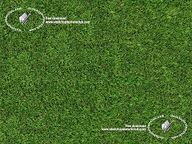Textures   -   NATURE ELEMENTS   -   VEGETATION   -  Green grass - Green synthetic grass texture seamless 18714