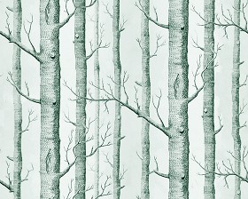 Textures   -   MATERIALS   -   WALLPAPER   -  various patterns - Trees background wallpaper texture seamless 12243