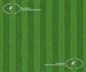 Textures   -   NATURE ELEMENTS   -   VEGETATION   -  Green grass - Football green grass texture seamless 18716