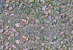 Textures   -   NATURE ELEMENTS   -   GRAVEL &amp; PEBBLES  - Pebbles and icy grass texture seamless 20189 (seamless)