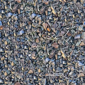 Textures   -   NATURE ELEMENTS   -   GRAVEL &amp; PEBBLES  - Pebbles and icy grass texture seamless 20190 (seamless)