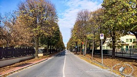 Textures   -   BACKGROUNDS &amp; LANDSCAPES   -  CITY &amp; TOWNS - Avenue background with autumn trees 21045