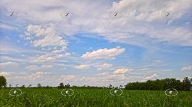 Textures   -   BACKGROUNDS &amp; LANDSCAPES   -  SKY &amp; CLOUDS - Cloudy sky with rural background 20786