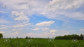 Textures   -   BACKGROUNDS &amp; LANDSCAPES   -   SKY &amp; CLOUDS  - Cloudy sky with rural background 20786