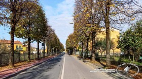 Textures   -   BACKGROUNDS &amp; LANDSCAPES   -  CITY &amp; TOWNS - Avenue background with autumn trees 21046