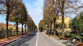 Textures   -   BACKGROUNDS &amp; LANDSCAPES   -   CITY &amp; TOWNS  - Avenue background with autumn trees 21046