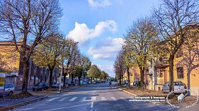 Textures   -   BACKGROUNDS &amp; LANDSCAPES   -   CITY &amp; TOWNS  - Avenue background with autumn trees 21047