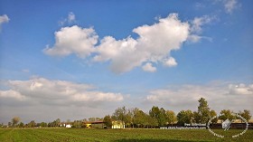 Textures   -   BACKGROUNDS &amp; LANDSCAPES   -   NATURE   -   Countrysides &amp; Hills  - Countryside landscape at 1 pm wiht autmnals trees 19250