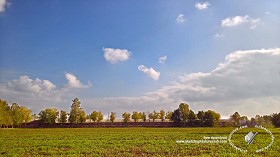 Textures   -   BACKGROUNDS &amp; LANDSCAPES   -   NATURE   -  Countrysides &amp; Hills - Countryside landscape at 1 pm with autumnal trees 19251