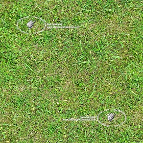 seamless grass texture photoshop seamless grass texture photoshop