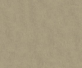 Textures   -   ARCHITECTURE   -   PLASTER   -   Painted plaster  - Fine plaster painted wall texture seamless 07016 (seamless)