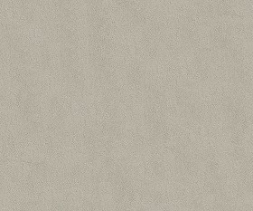 Textures   -   ARCHITECTURE   -   PLASTER   -   Painted plaster  - Fine plaster painted wall texture seamless 07017 (seamless)