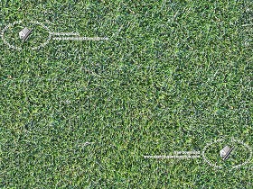 Textures   -   NATURE ELEMENTS   -   VEGETATION   -   Green grass  - Clippings grass texture seamless 20522 (seamless)