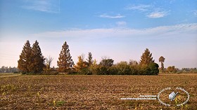Textures   -   BACKGROUNDS &amp; LANDSCAPES   -   NATURE   -   Countrysides &amp; Hills  - Countryside landscape with autumnal trees 19727