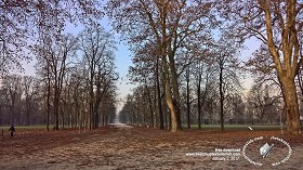 Textures   -   BACKGROUNDS &amp; LANDSCAPES   -   NATURE   -  Countrysides &amp; Hills - Winter trees landscape background 20109