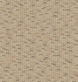 Textures   -   ARCHITECTURE   -   BRICKS   -   Facing Bricks   -  Rustic - Rustic bricks texture seamless 17238