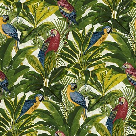 Textures   -   MATERIALS   -   WALLPAPER   -  various patterns - Exotic parrots wallpaper texture seamless 20929