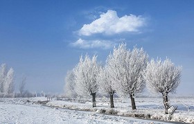 Textures   -   BACKGROUNDS &amp; LANDSCAPES   -   NATURE   -   Countrysides &amp; Hills  - Mulberries with snowy countryside landscape 20216