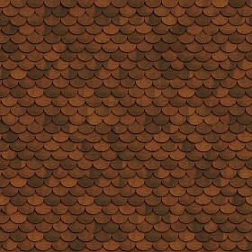Textures   -   ARCHITECTURE   -   ROOFINGS   -  Clay roofs - Grand cru Ecaille shingles clay roof tile texture seamless 03500