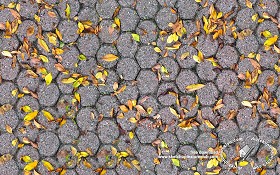 Textures   -   ARCHITECTURE   -   PAVING OUTDOOR   -   Concrete   -  Blocks regular - Concrete paving outdoor with dead leaves texture seamless 19253