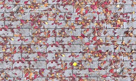 Textures   -   ARCHITECTURE   -   PAVING OUTDOOR   -   Concrete   -  Blocks regular - Concrete paving outdoor with dead leaves texture seamless 19281