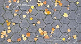 Textures   -   ARCHITECTURE   -   PAVING OUTDOOR   -   Concrete   -  Blocks regular - Concrete paving outdoor with dead leaves texture seamless 19342