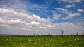 Textures   -   BACKGROUNDS &amp; LANDSCAPES   -   NATURE   -   Countrysides &amp; Hills  - Contryside landscape with cludy sky 20608