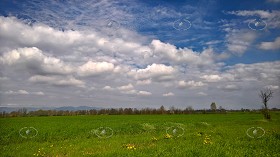 Textures   -   BACKGROUNDS &amp; LANDSCAPES   -   NATURE   -   Countrysides &amp; Hills  - Contryside landscape with cludy sky 20609