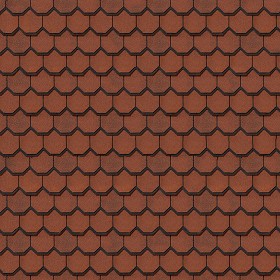 Textures   -   ARCHITECTURE   -   ROOFINGS   -  Clay roofs - Clay roof tile texture seamless 03517
