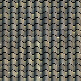 Textures   -   ARCHITECTURE   -   ROOFINGS   -   Clay roofs  - Clay roof texture seamless 19559 (seamless)