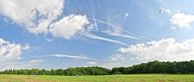 Textures   -   BACKGROUNDS &amp; LANDSCAPES   -   NATURE   -   Countrysides &amp; Hills  - Trees line with clouds sky background 1 20650