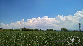 Textures   -   BACKGROUNDS &amp; LANDSCAPES   -   NATURE   -  Countrysides &amp; Hills - Contryside landscape with cludy sky 20742