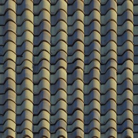 Textures   -   ARCHITECTURE   -   ROOFINGS   -   Clay roofs  - Clay roof texture seamless 19573 (seamless)